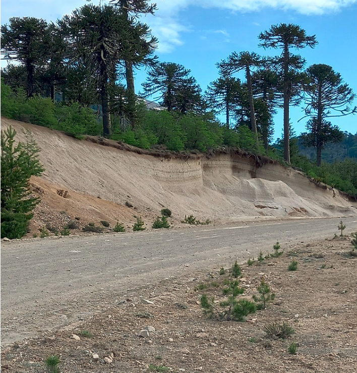 RP11 acceso a Moquehua